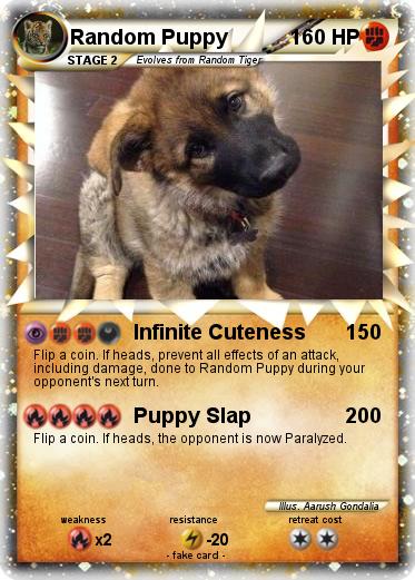 Pokemon Random Puppy