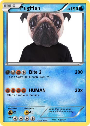 Pokemon PugMan