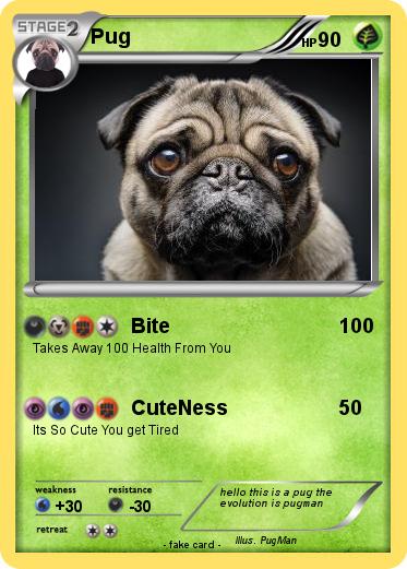 Pokemon Pug