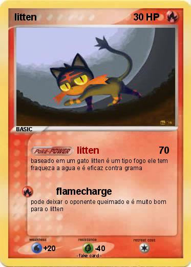 Pokemon litten