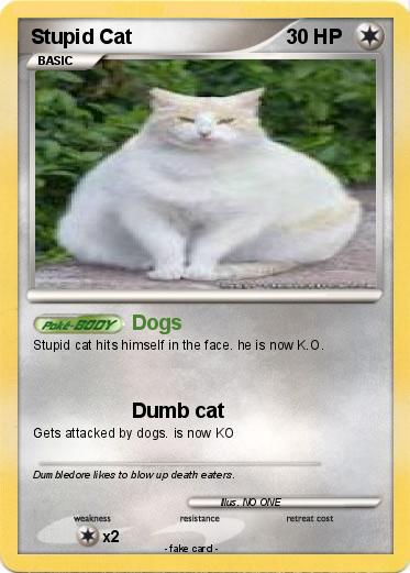 Pokemon Stupid Cat