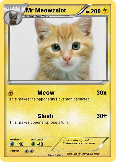 Pokemon Mr Meowzalot
