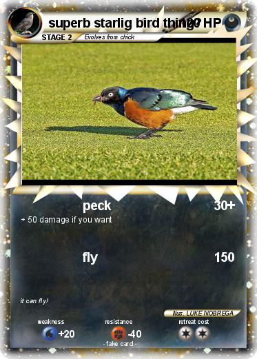 Pokemon superb starlig bird thing?
