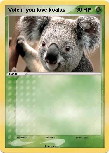 Pokemon Vote if you love koalas