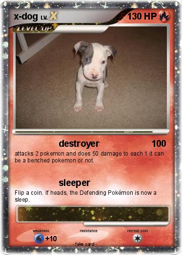 Pokemon x-dog
