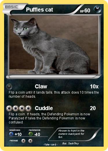 Pokemon Puffles cat
