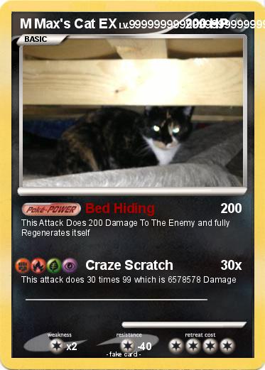 Pokemon M Max's Cat EX