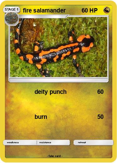 Pokemon fire salamander