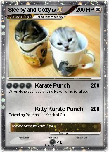 Pokemon Sleepy and Cozy