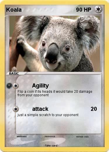Pokemon Koala