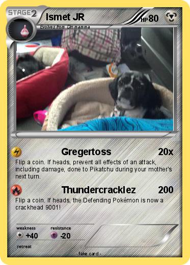 Pokemon Ismet JR