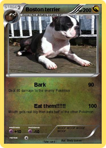 Pokemon Boston terrier