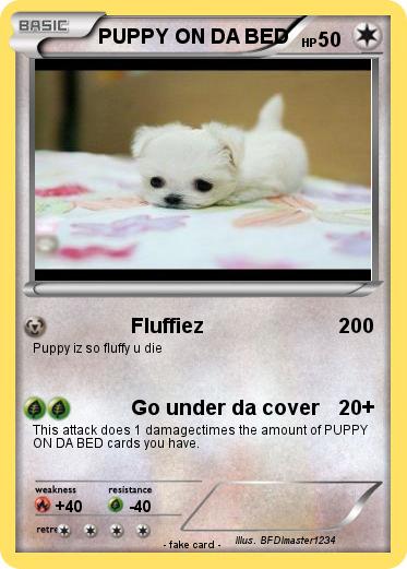 Pokemon PUPPY ON DA BED