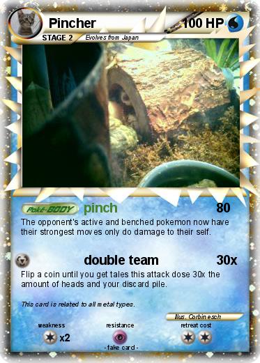 Pokemon Pincher