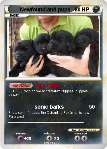 Pokemon Newfoundland pups