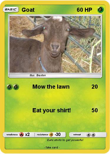 Pokemon Goat