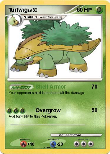 Pokemon Turtwig