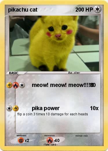 Pokemon pikachu cat