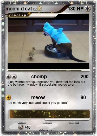 Pokemon mochi d cat