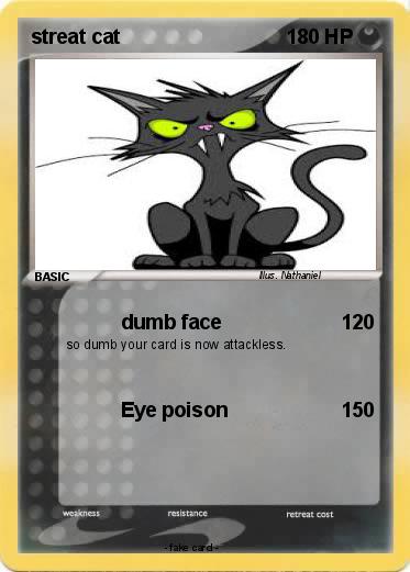 Pokemon streat cat