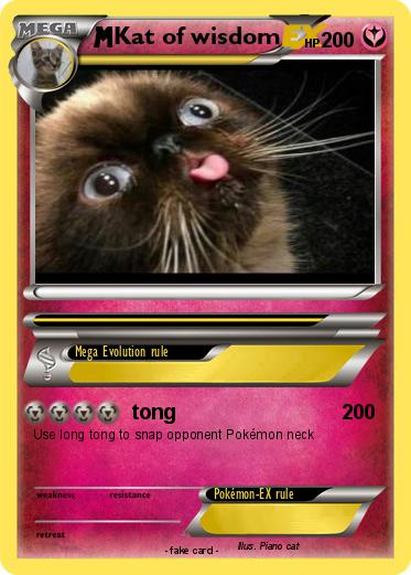 Pokemon Kat of wisdom