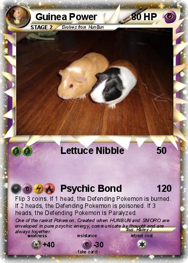 Pokemon Guinea Power