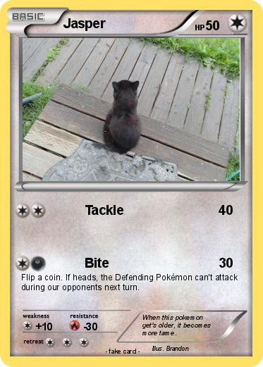 Pokemon Jasper
