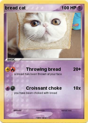Pokemon bread cat