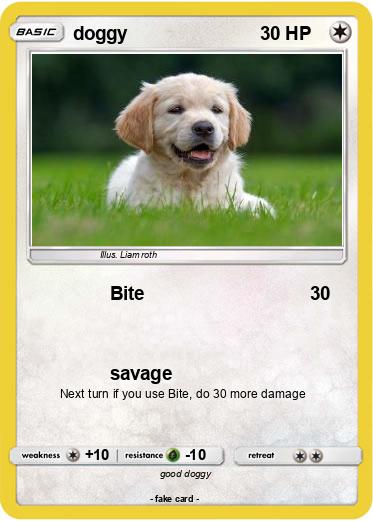 Pokemon doggy