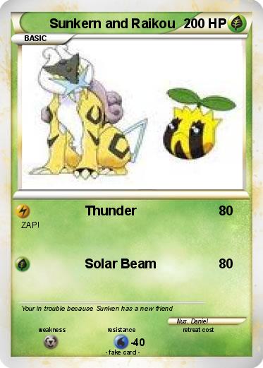 Pokemon Sunkern and Raikou