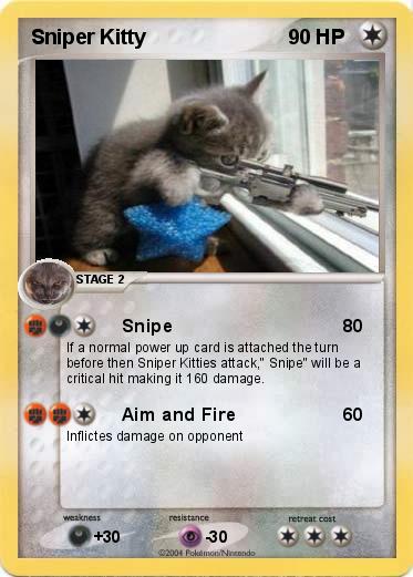 Pokemon Sniper Kitty