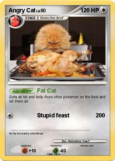 Pokemon Angry Cat