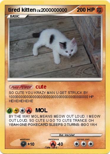 Pokemon tired kitten