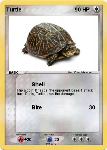 Pokemon Turtle