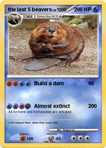 Pokemon the last 5 beavers