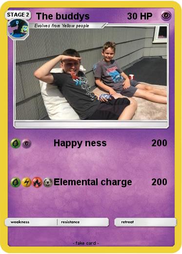 Pokemon The buddys