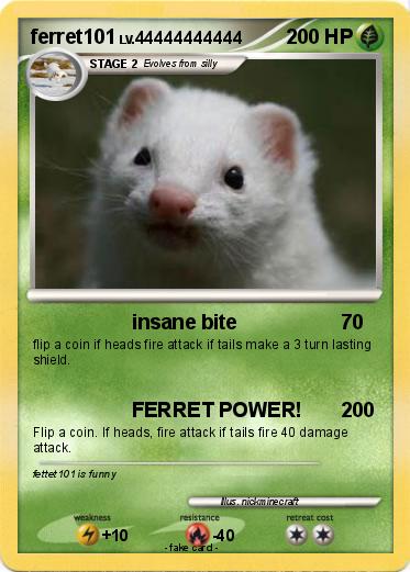 Pokemon ferret101