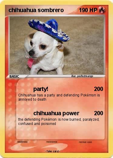 Pokemon chihuahua sombrero