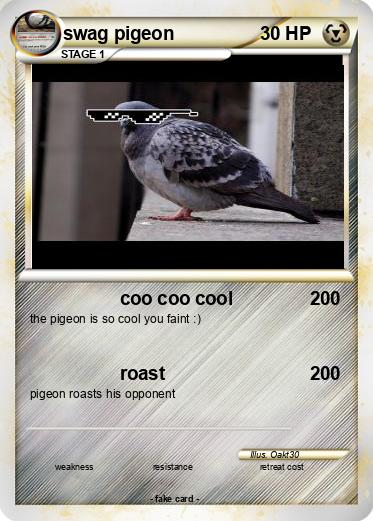 Pokemon swag pigeon