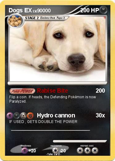 Pokemon Dogs EX