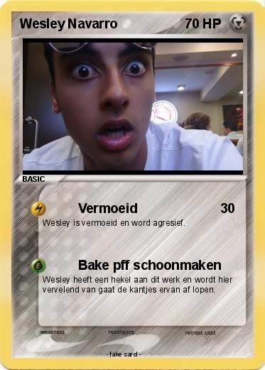 Pokemon Wesley Navarro