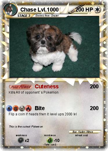 Pokemon Chase Lvl.1000