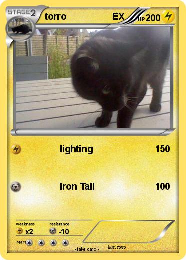 Pokemon torro                  EX