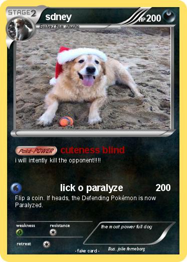 Pokemon sdney