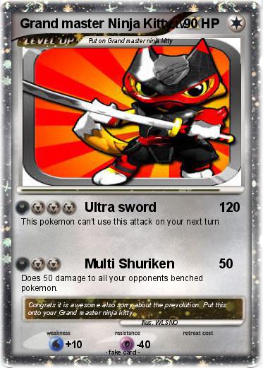 Pokemon Grand master Ninja Kitty