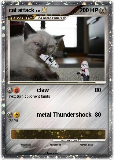 Pokemon cat attack