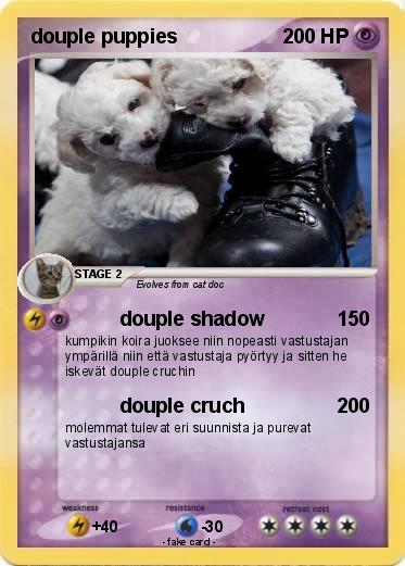 Pokemon douple puppies