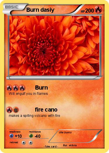 Pokemon Burn dasiy