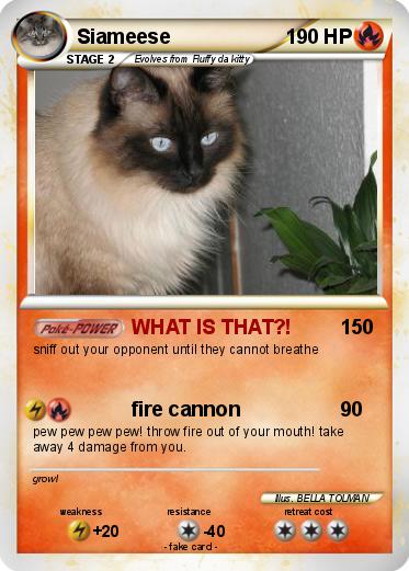 Pokemon Siameese