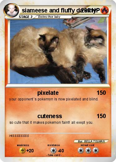 Pokemon siameese and fluffy da kitty